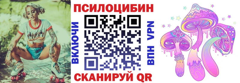 купить   Волоколамск  Галлюциногенные грибы GOLDEN TEACHER 